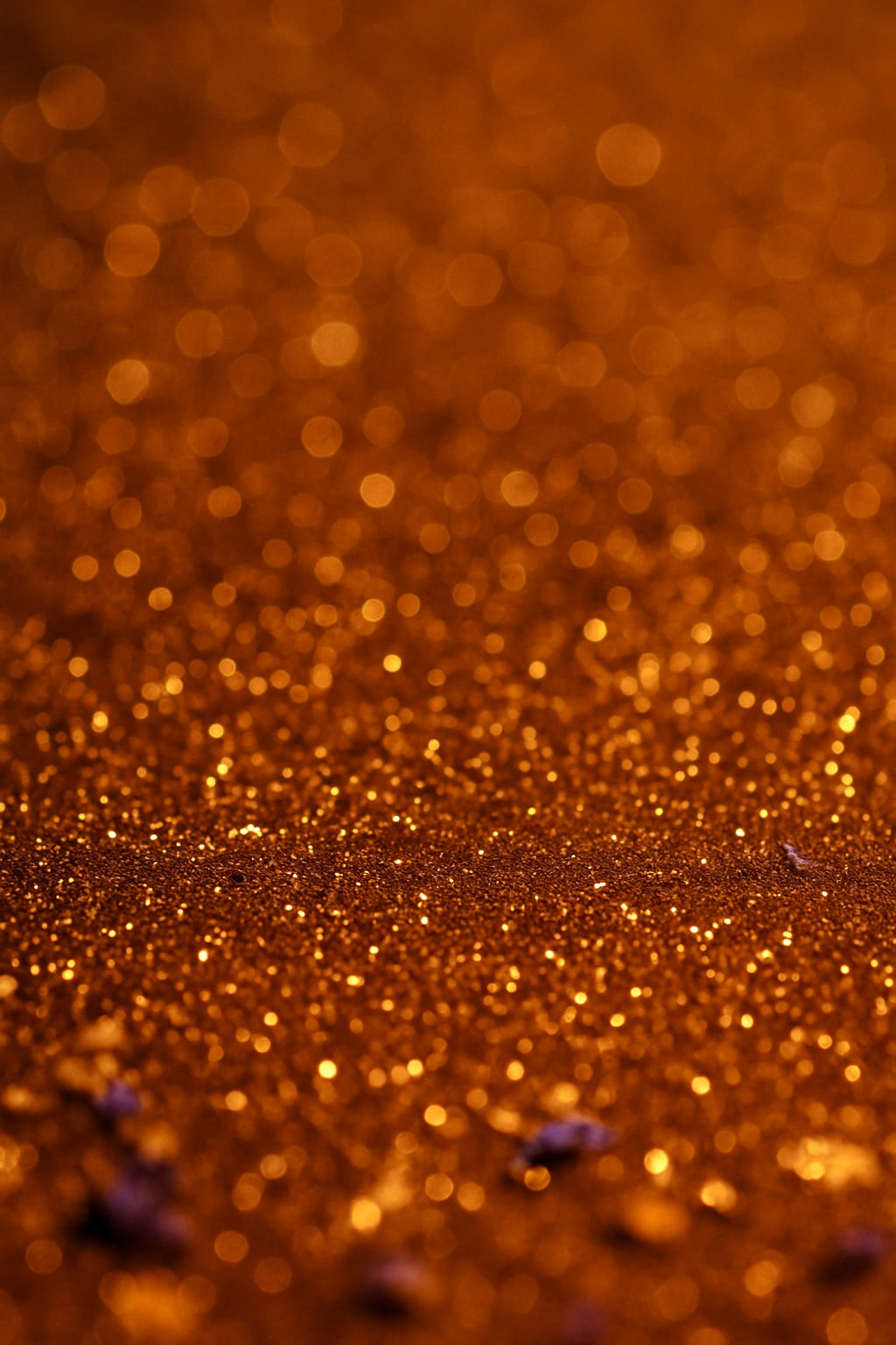 Body Shimmer Oil