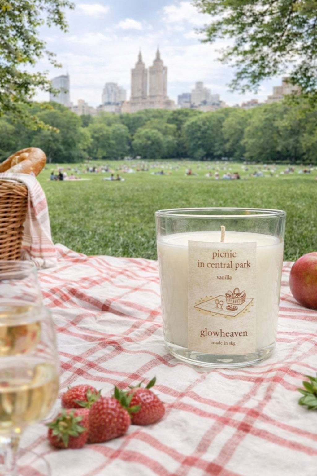 picnic in central park
