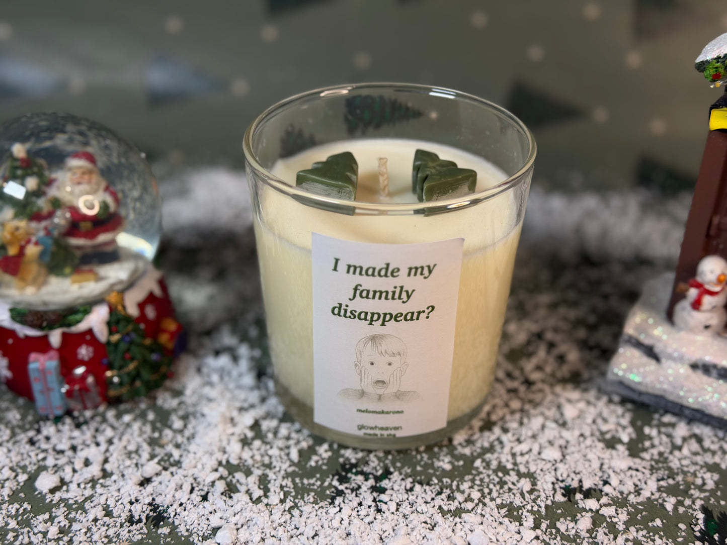 I made my family disappear?