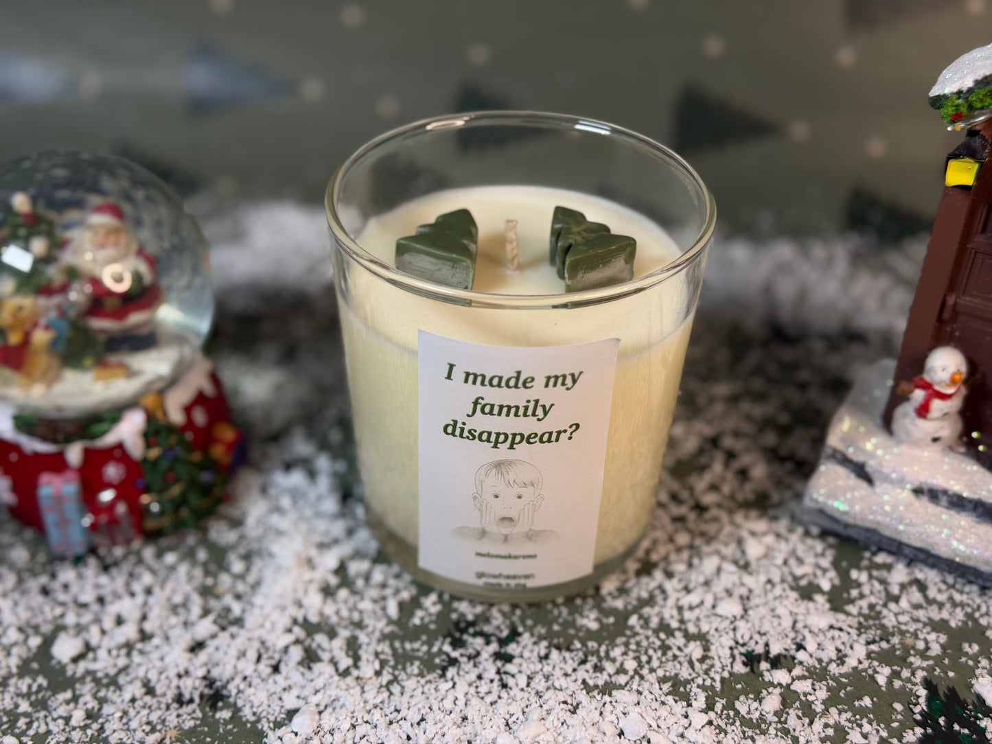 I made my family disappear?